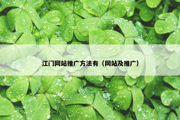 江门网站推广方法有（网站及推广）