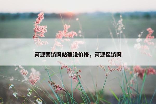 河源营销网站建设价格，河源促销网