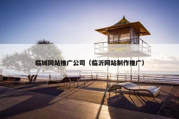 临城网站推广公司（临沂网站制作推广）