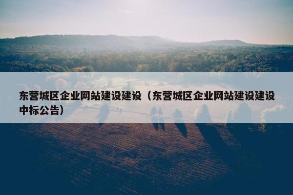 东营城区企业网站建设建设（东营城区企业网站建设建设中标公告）