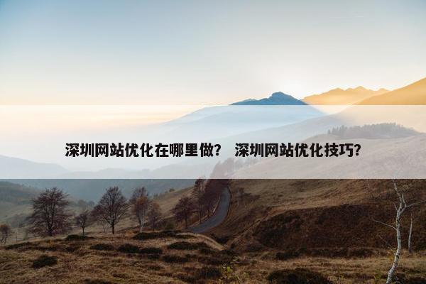 深圳网站优化在哪里做？ 深圳网站优化技巧？
