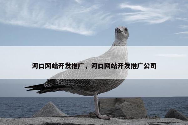 河口网站开发推广，河口网站开发推广公司