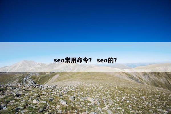 seo常用命令？ seo的？