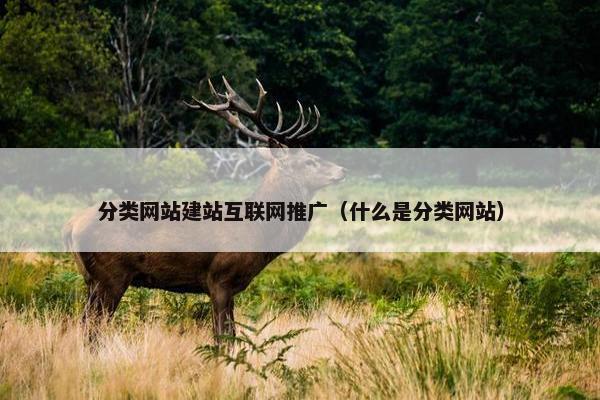 分类网站建站互联网推广（什么是分类网站）