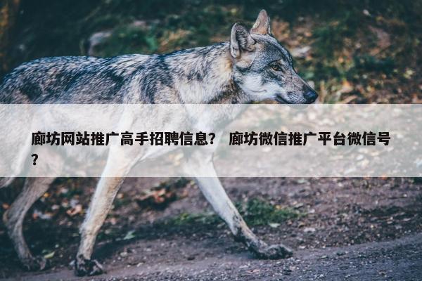 廊坊网站推广高手招聘信息？ 廊坊微信推广平台微信号？