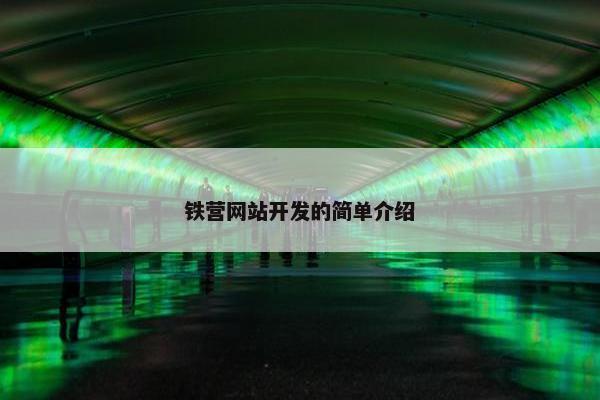 铁营网站开发的简单介绍