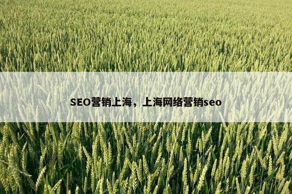 SEO营销上海，上海网络营销seo