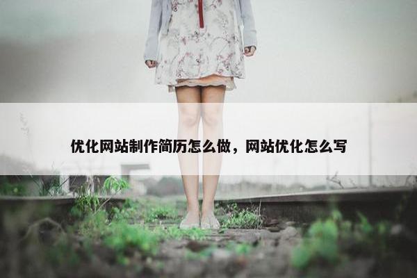 优化网站制作简历怎么做，网站优化怎么写