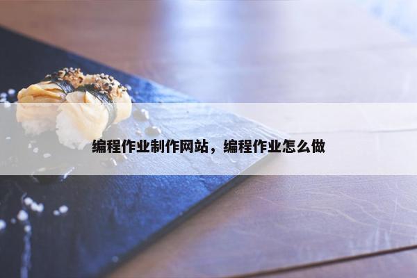 编程作业制作网站，编程作业怎么做