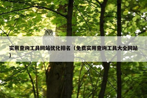 实用查询工具网站优化排名（免费实用查询工具大全网站）