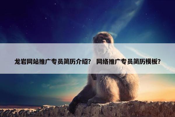 龙岩网站推广专员简历介绍？ 网络推广专员简历模板？