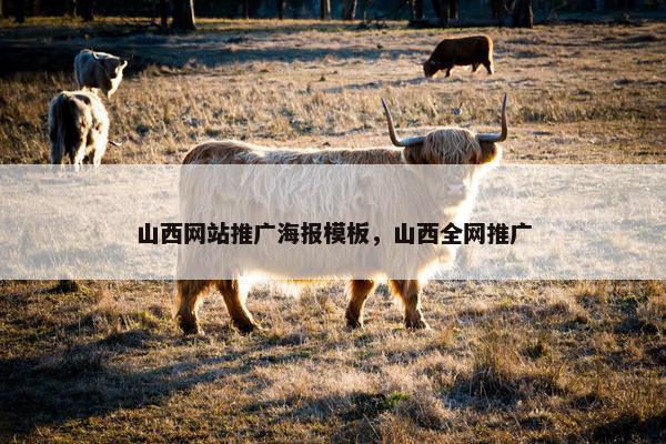 山西网站推广海报模板，山西全网推广