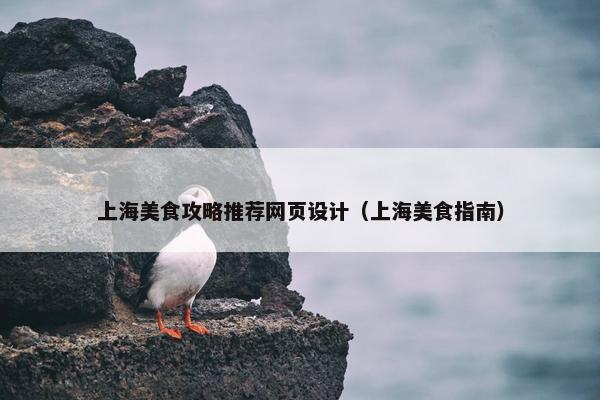 上海美食攻略推荐网页设计（上海美食指南）