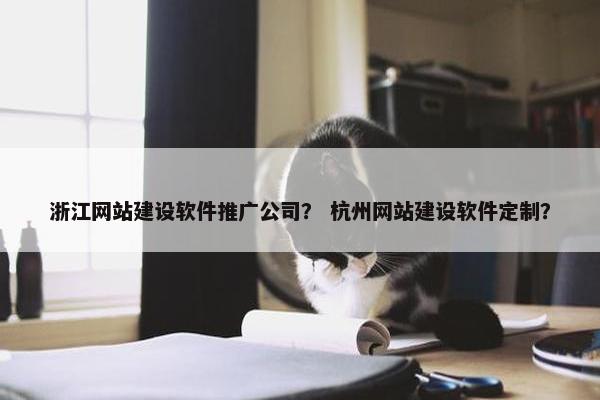 浙江网站建设软件推广公司？ 杭州网站建设软件定制？