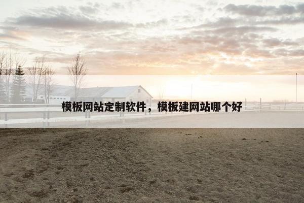 模板网站定制软件，模板建网站哪个好