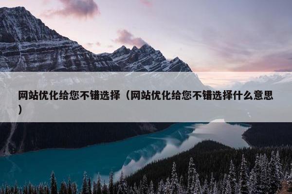 网站优化给您不错选择（网站优化给您不错选择什么意思）