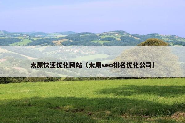 太原快速优化网站（太原seo排名优化公司）