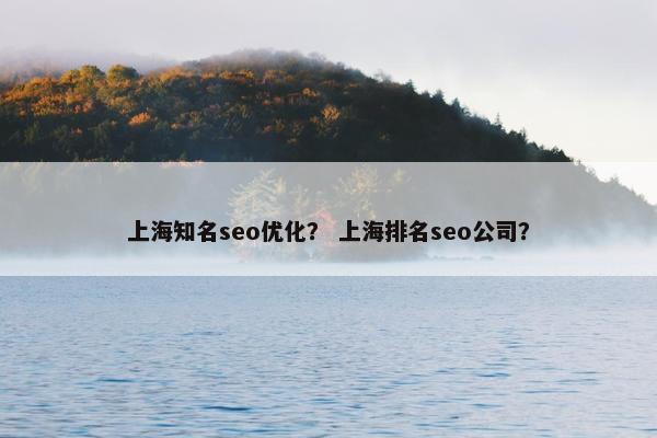 上海知名seo优化？ 上海排名seo公司？
