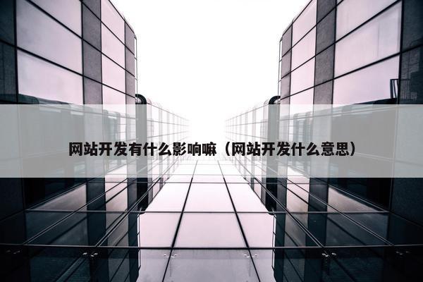 网站开发有什么影响嘛（网站开发什么意思）