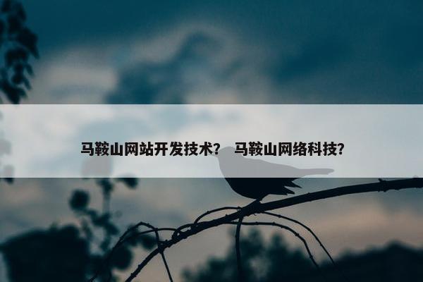 马鞍山网站开发技术？ 马鞍山网络科技？