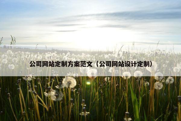 公司网站定制方案范文（公司网站设计定制）