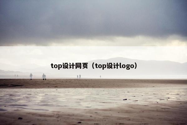 top设计网页（top设计logo）