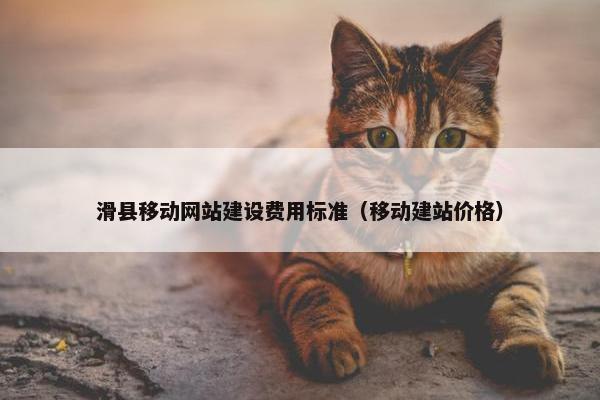 滑县移动网站建设费用标准（移动建站价格）