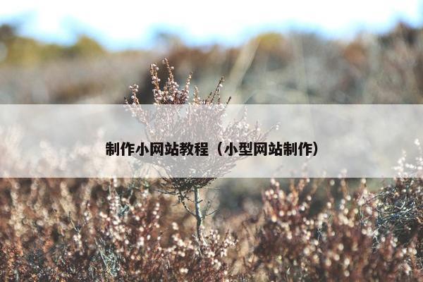 制作小网站教程（小型网站制作）
