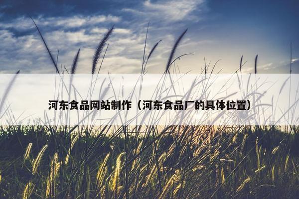 河东食品网站制作（河东食品厂的具体位置）