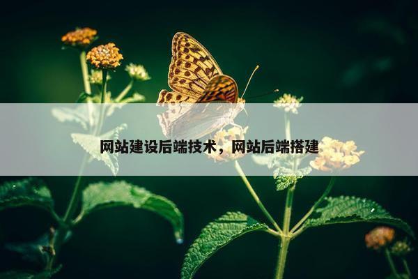 网站建设后端技术，网站后端搭建