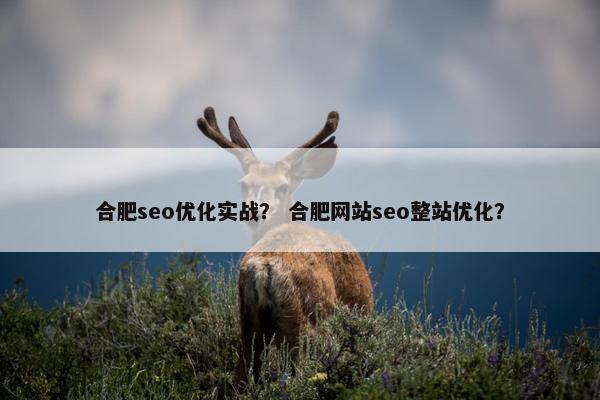 合肥seo优化实战？ 合肥网站seo整站优化？
