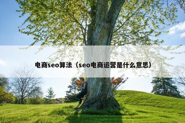 电商seo算法（seo电商运营是什么意思）