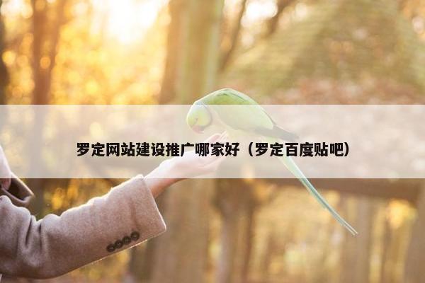 罗定网站建设推广哪家好（罗定百度贴吧）
