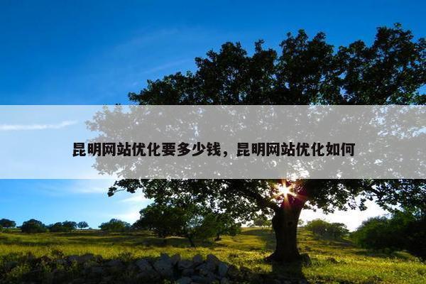 昆明网站优化要多少钱，昆明网站优化如何