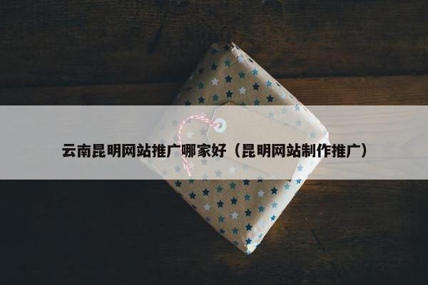云南昆明网站推广哪家好（昆明网站制作推广）