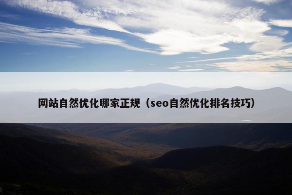 网站自然优化哪家正规（seo自然优化排名技巧）