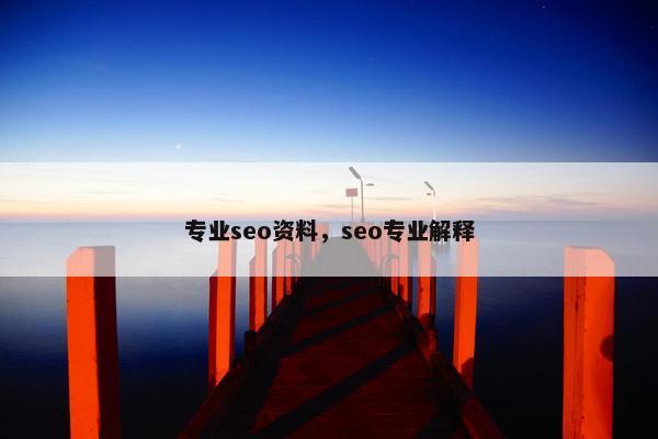 专业seo资料，seo专业解释