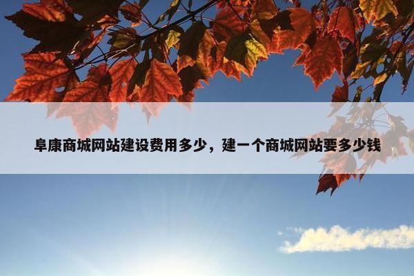 阜康商城网站建设费用多少，建一个商城网站要多少钱