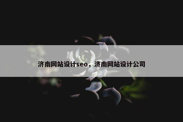 济南网站设计seo，济南网站设计公司