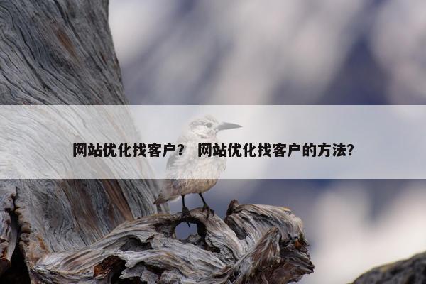 网站优化找客户？ 网站优化找客户的方法？