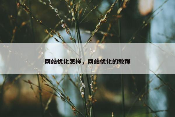 网站优化怎样，网站优化的教程