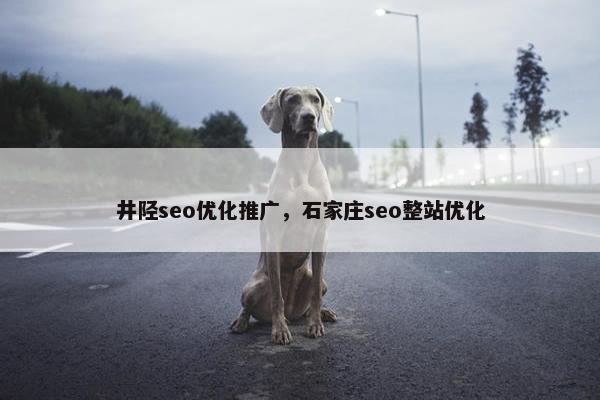 井陉seo优化推广，石家庄seo整站优化