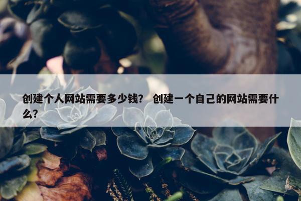 创建个人网站需要多少钱？ 创建一个自己的网站需要什么？