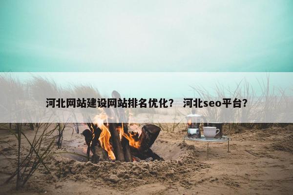 河北网站建设网站排名优化？ 河北seo平台？