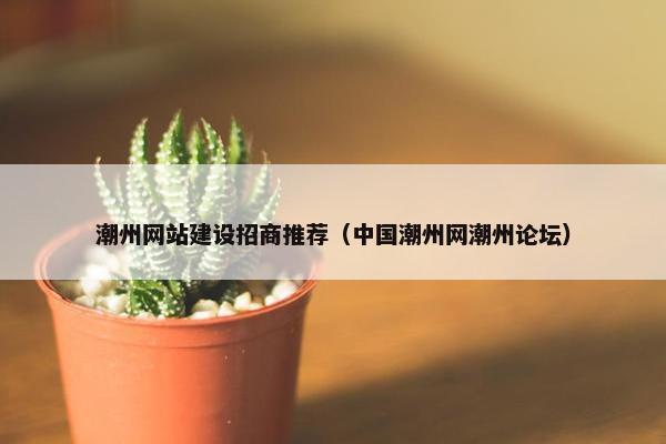 潮州网站建设招商推荐（中国潮州网潮州论坛）