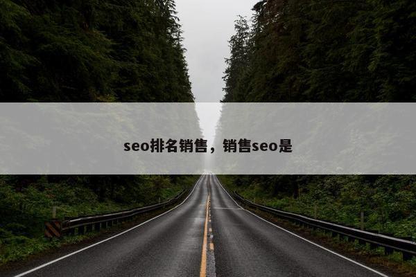 seo排名销售，销售seo是