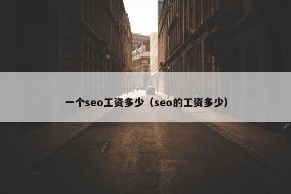 一个seo工资多少（seo的工资多少）