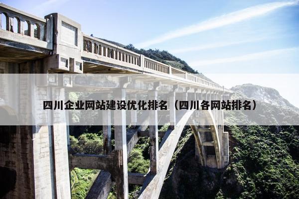 四川企业网站建设优化排名（四川各网站排名）