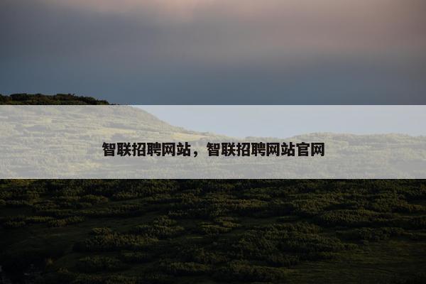 智联招聘网站，智联招聘网站官网