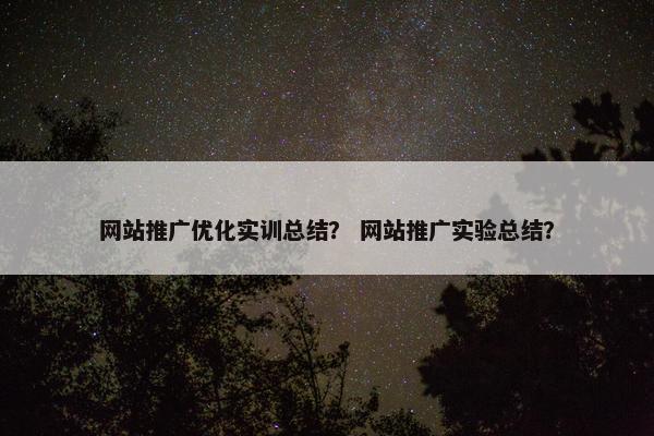 网站推广优化实训总结？ 网站推广实验总结？